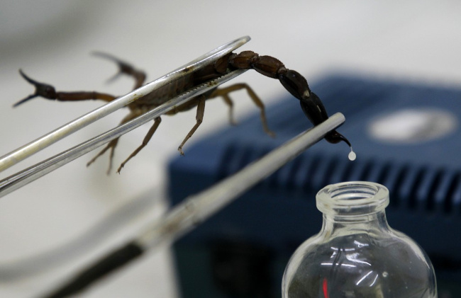 the-7-most-expensive-liquids-on-the-planet-the-most-expensive-scorpion-venom-2133-billion-vnd-liter-picture-1-Fff0RyiJR.jpg